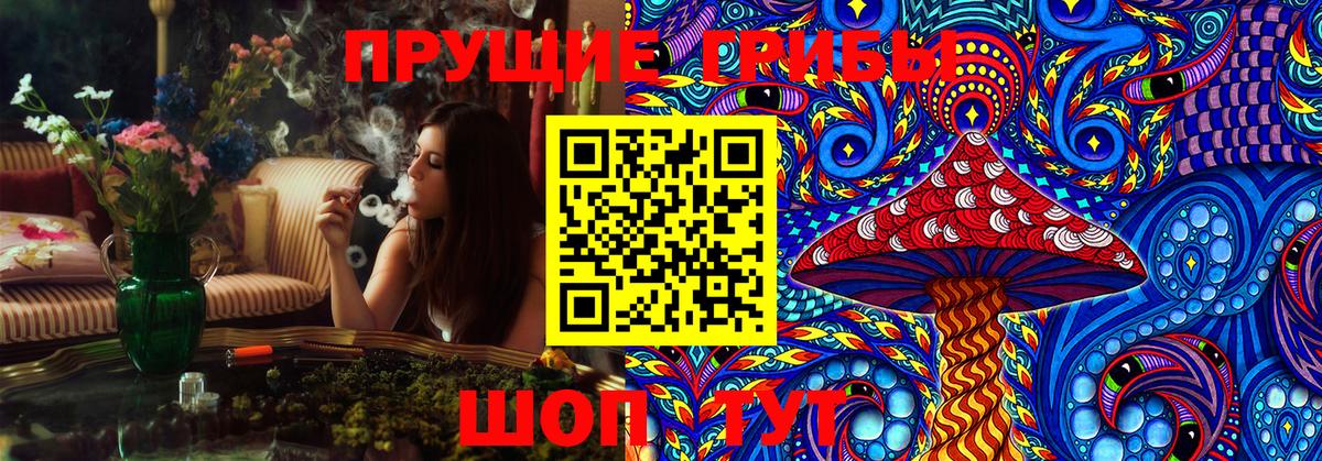 Жуковский  Галлюциногенные грибы MAGIC MUSHROOMS  Вход с VPN 